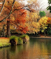 Hagley Park Christchurch New Zealand 